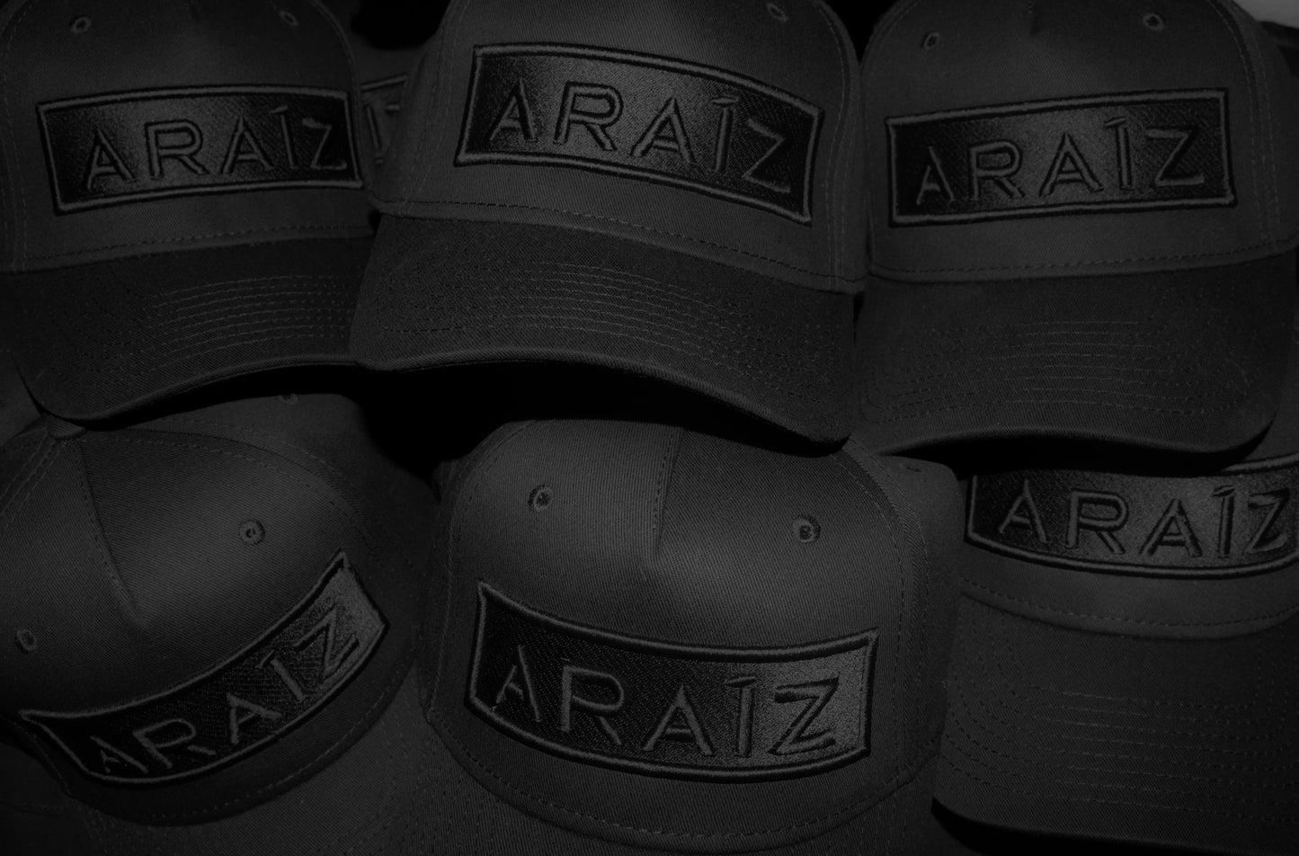 ARAIZ PANEL CAP